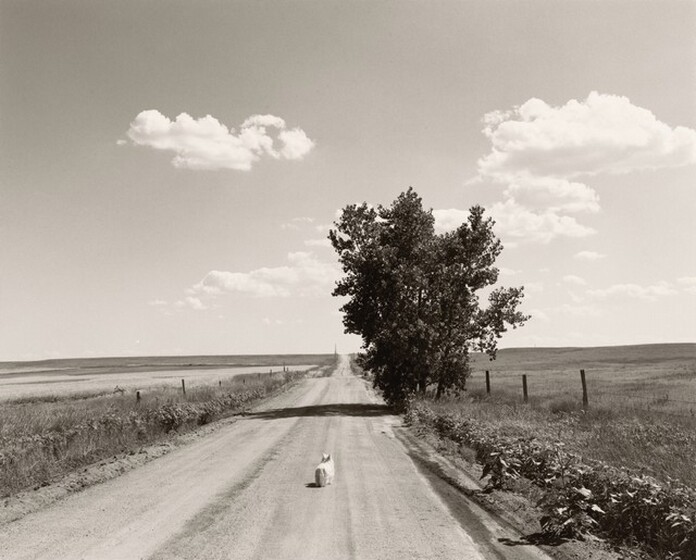 Robert Adams, Sally, Weld County, Colorado, 1984, printed 1990