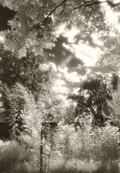 Robert Adams, Longmont, Colorado, 1982–1992