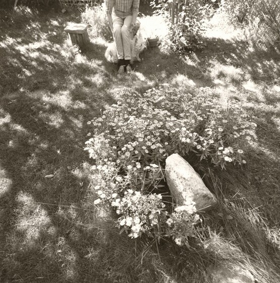 Robert Adams, Longmont, Colorado, 1982–1992