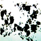 AMRSC-photomicro-ivory-black