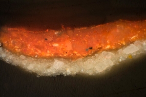 Cross Section from Silenus' Robe