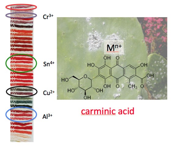 chemical-char-carminic-acid