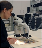 manuscript_thumbnail