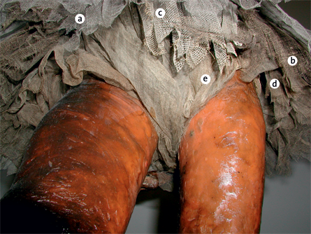 The tutu on Little Dancer Aged Fourteen