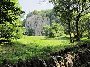 La Verna cliff facade