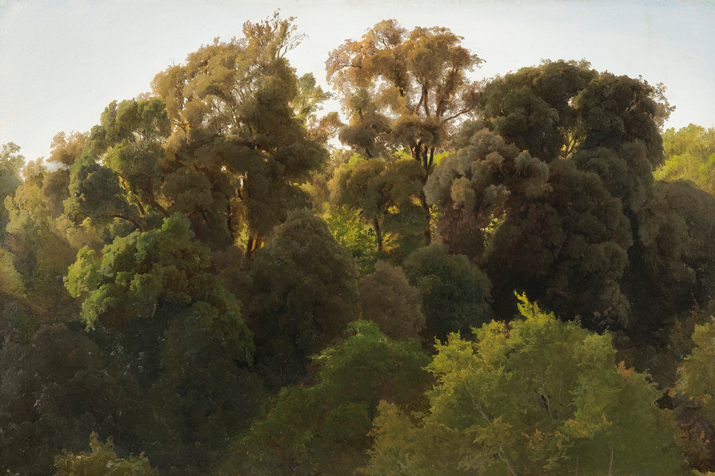 Image of the painting Tree Crowns in a Forest (Ariccia?), c. 1832