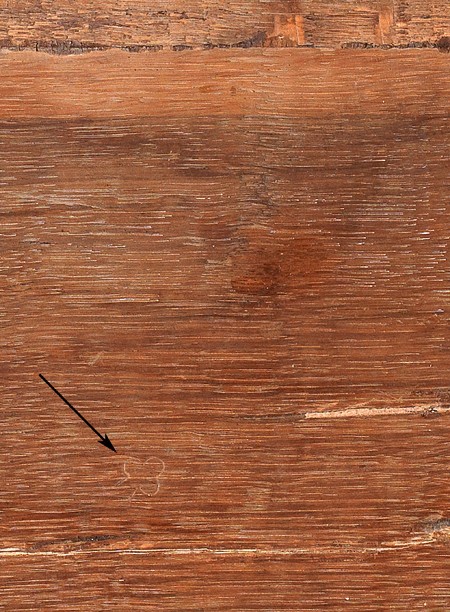 Maite Jover de Celis