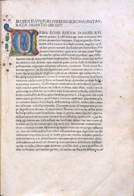 Library of the NGA [FOLDER]